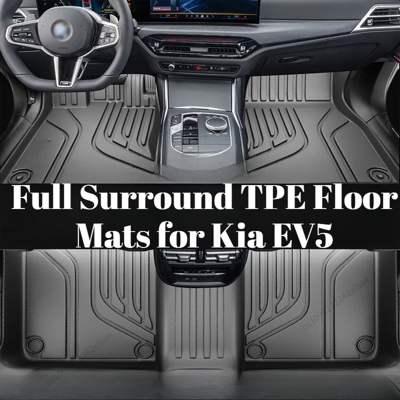 Full Surround TPE Floor Mats,  - Car Floor Mat 评论和价格